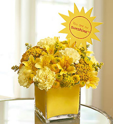 Sunshine and Smiles Flower Power, Florist Davenport FL